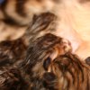 060116_sans titre_034-15